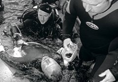 <b>生命的教训：潜水员的四种死因</b>
