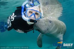 “好色”海牛爱追美女 趁机偷亲好得意